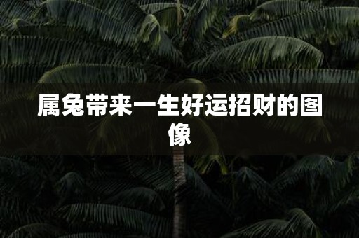 属兔带来一生好运招财的图像