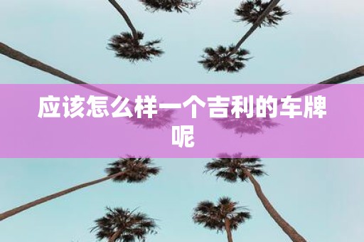 应该怎么样一个吉利的车牌呢