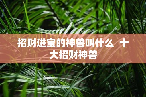 招财进宝的神兽叫什么 十大招财神兽
