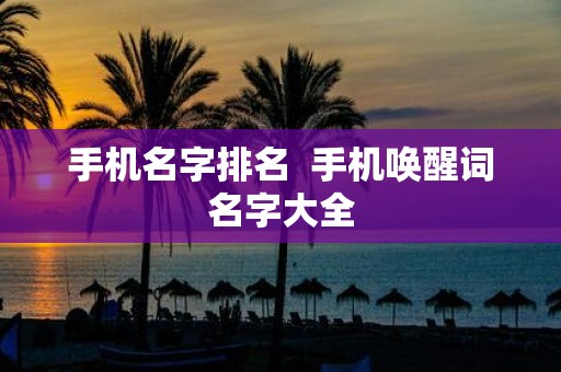 手机名字排名 手机唤醒词名字大全