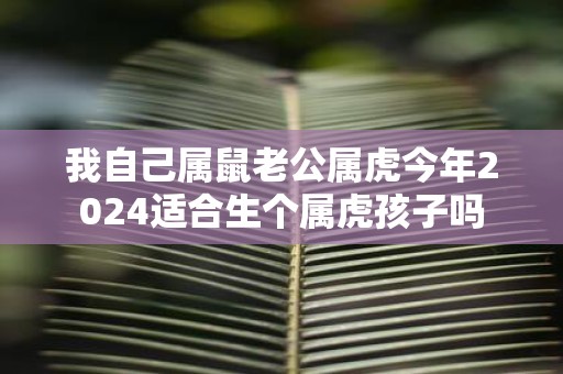 我自己属鼠老公属虎今年2025适合生个属虎孩子吗