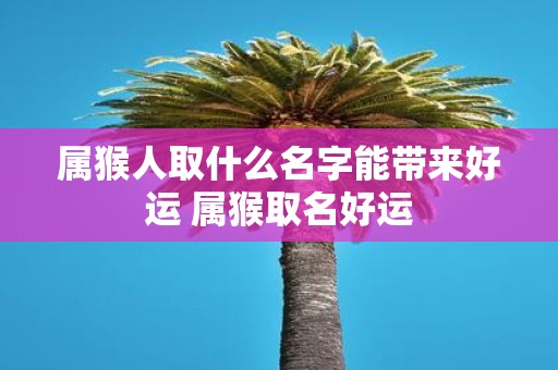属猴人取什么名字能带来好运 属猴取名好运