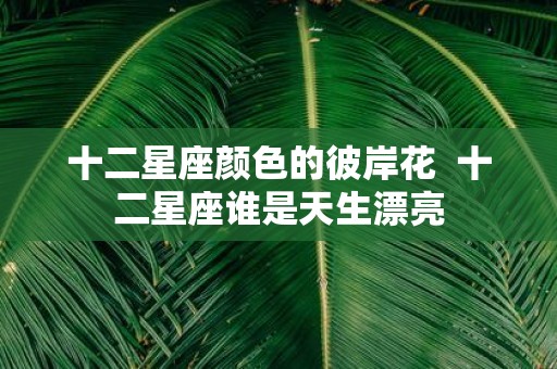 十二星座颜色的彼岸花 十二星座谁是天生漂亮
