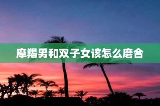 摩羯男和双子女该怎么磨合