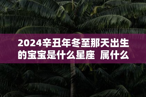 2025辛丑年冬至那天出生的宝宝是什么星座 属什么生肖