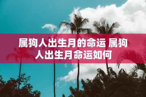 属狗人出生月的命运 属狗人出生月命运如何