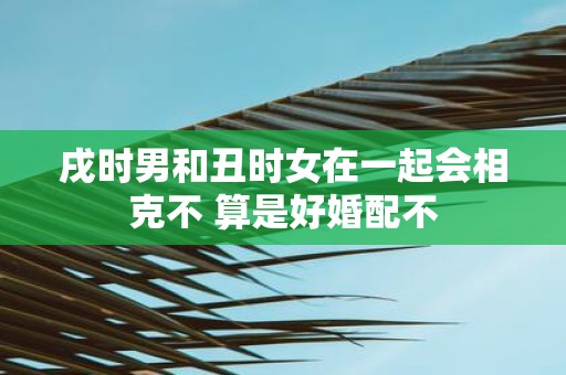 戌时男和丑时女在一起会相克不 算是好婚配不