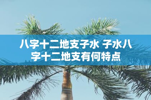 八字十二地支子水 子水八字十二地支有何特点