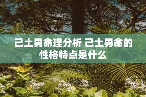 己土男命理分析 己土男命的性格特点是什么