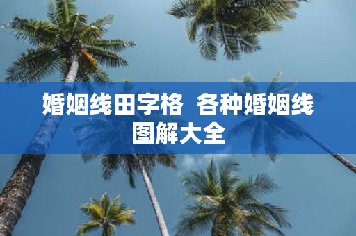 婚姻线田字格 各种婚姻线图解大全