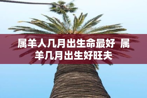 属羊人几月出生命最好 属羊几月出生好旺夫