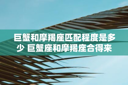 巨蟹和摩羯座匹配程度是多少 巨蟹座和摩羯座合得来吗