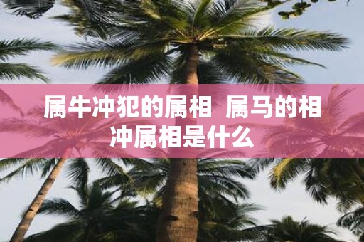 属牛冲犯的属相 属马的相冲属相是什么