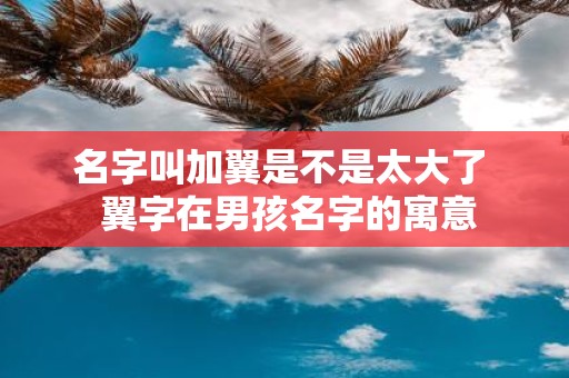 名字叫加翼是不是太大了 翼字在男孩名字的寓意