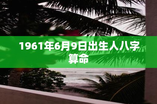 1961年6月9日出生人八字算命