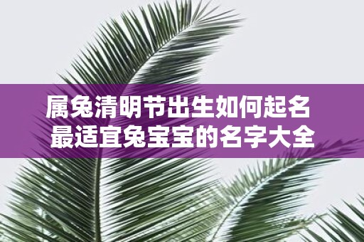 属兔清明节出生如何起名 最适宜兔宝宝的名字大全 属兔清明节出生如何起名 最适宜兔宝宝的名字大全