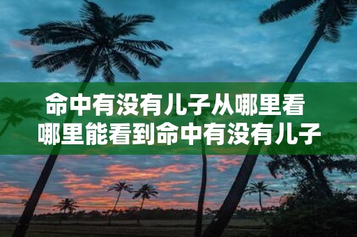 命中有没有儿子从哪里看 哪里能看到命中有没有儿子 命中有没有儿子从哪里看 哪里能看到命中有没有儿子