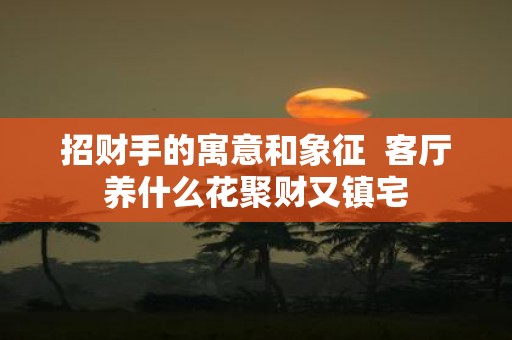 招财手的寓意和象征 客厅养什么花聚财又镇宅