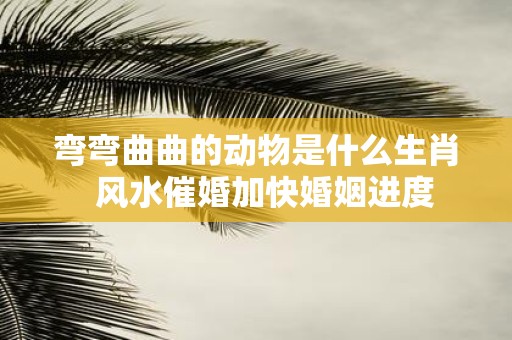弯弯曲曲的动物是什么生肖 风水催婚加快婚姻进度