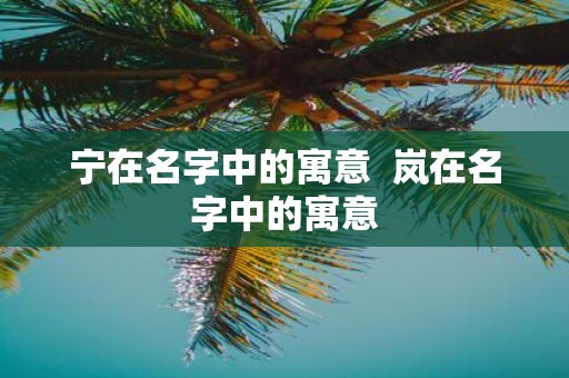 宁在名字中的寓意 岚在名字中的寓意
