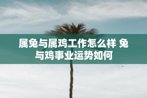 属兔与属鸡工作怎么样 兔与鸡事业运势如何
