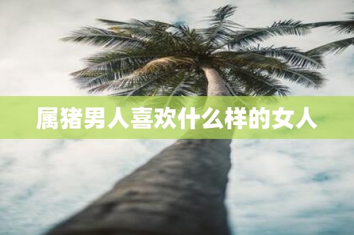 属猪男人喜欢什么样的女人