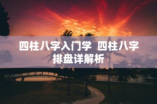 四柱八字入门学 四柱八字排盘详解析 四柱八字入门学 四柱八字排盘详解析