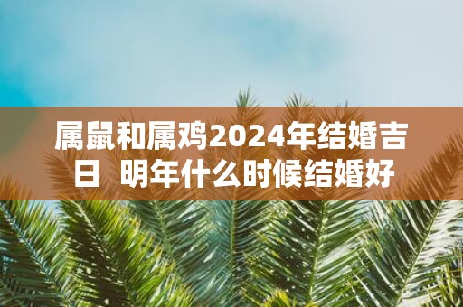 属鼠和属鸡2025年结婚吉日 明年什么时候结婚好