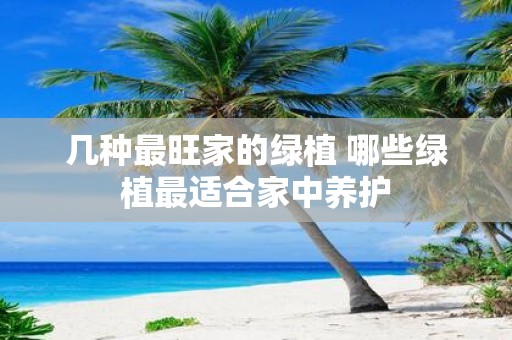 几种最旺家的绿植 哪些绿植最适合家中养护