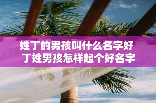 姓丁的男孩叫什么名字好 丁姓男孩怎样起个好名字