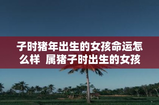 子时猪年出生的女孩命运怎么样 属猪子时出生的女孩命好不好