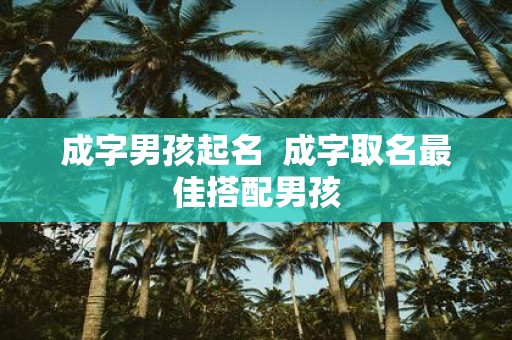 成字男孩起名 成字取名最佳搭配男孩 成字男孩起名 成字取名最佳搭配男孩