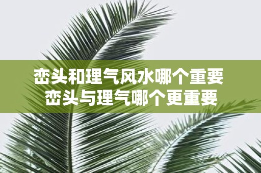 峦头和理气风水哪个重要 峦头与理气哪个更重要
