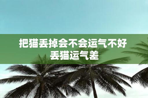把猫丢掉会不会运气不好 丢猫运气差