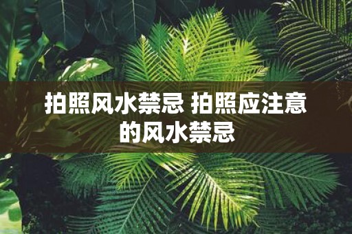 拍照风水禁忌 拍照应注意的风水禁忌