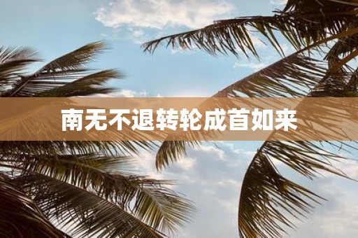 南无不退转轮成首如来