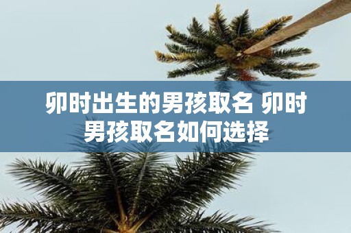 卯时出生的男孩取名 卯时男孩取名如何选择