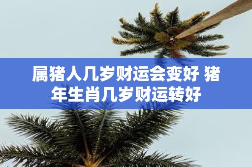 属猪人几岁财运会变好 猪年生肖几岁财运转好