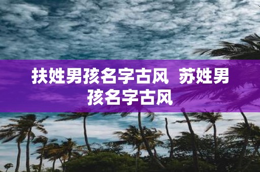 扶姓男孩名字古风 苏姓男孩名字古风