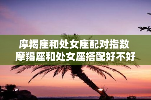 摩羯座和处女座配对指数 摩羯座和处女座搭配好不好 摩羯座和处女座配对指数 摩羯座和处女座搭配好不好