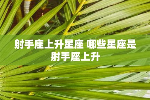 射手座上升星座 哪些星座是射手座上升 射手座上升星座 哪些星座是射手座上升