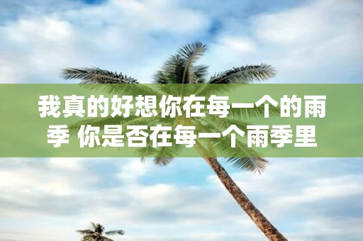 我真的好想你在每一个的雨季 你是否在每一个雨季里想念着我