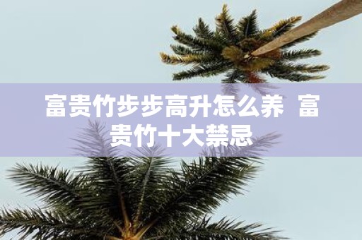 富贵竹步步高升怎么养 富贵竹十大禁忌