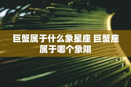 巨蟹属于什么象星座 巨蟹座属于哪个象限