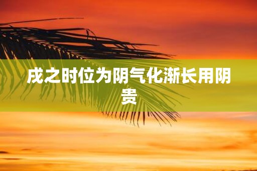 戌之时位为阴气化渐长用阴贵