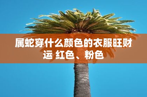 属蛇穿什么颜色的衣服旺财运 红色、粉色
