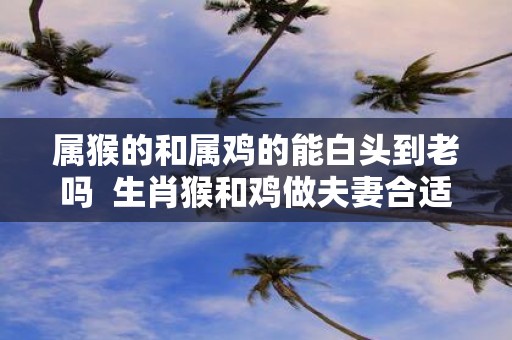 属猴的和属鸡的能白头到老吗 生肖猴和鸡做夫妻合适吗