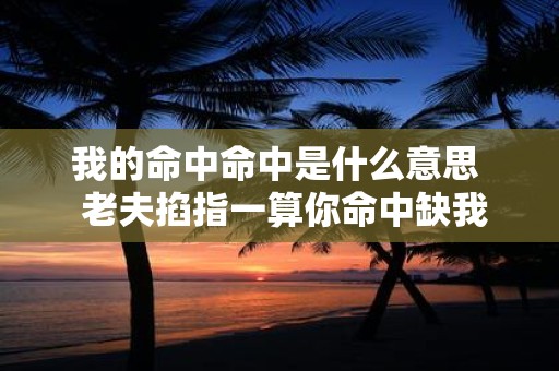 我的命中命中是什么意思 老夫掐指一算你命中缺我