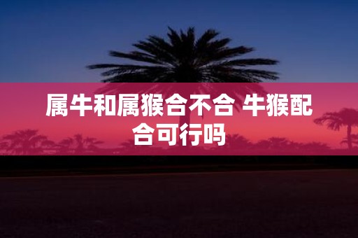 属牛和属猴合不合 牛猴配合可行吗