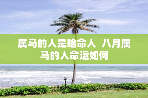 属马的人是啥命人 八月属马的人命运如何